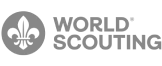 Scouts Association logo – Trinergy client in youth development and community programs